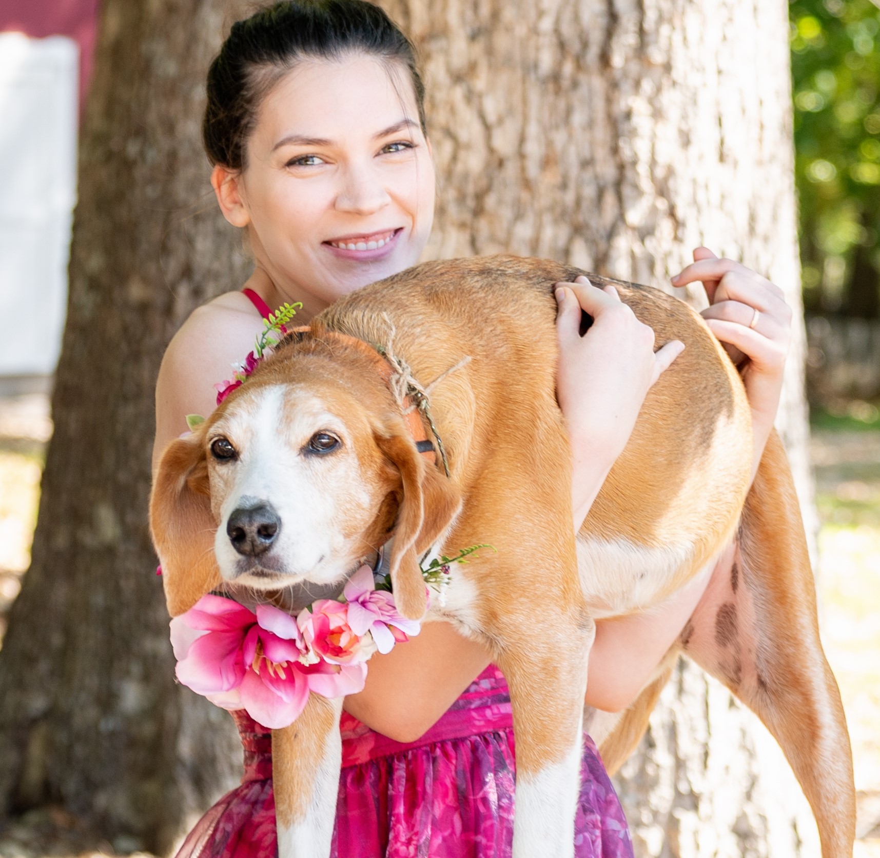 Akc Pet Insurance Login - ihsychi