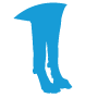 Luxating Patella Icon